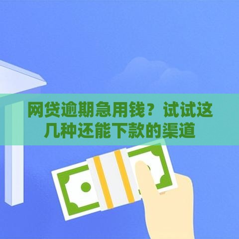 网贷逾期急用钱？试试这几种还能下款的渠道