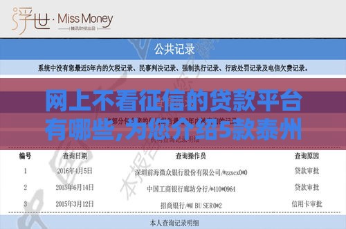 网上不看征信的贷款平台有哪些,为您介绍5款泰州黑户哪里有口子