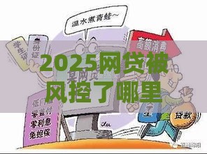 2025网贷被风控了哪里可以贷款,隆重介绍5个小额无视黑户的口子