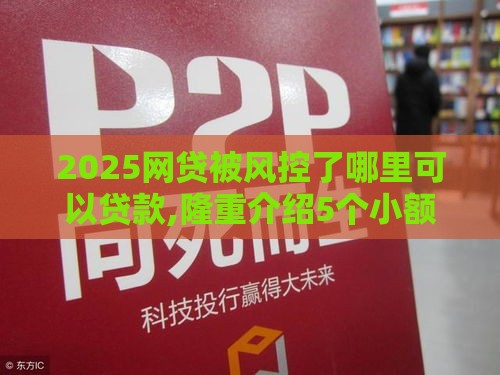 2025网贷被风控了哪里可以贷款,隆重介绍5个小额无视黑户的口子