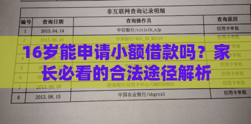 16岁能申请小额借款吗？家长必看的合法途径解析