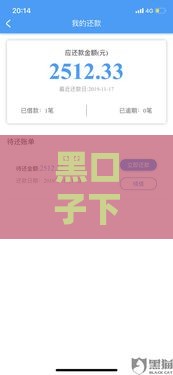 黑口子下款,为您介绍5款有啥口子黑户能下款 黑口子下款,为您介绍5款有啥口子黑户能下款