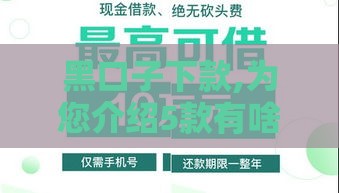 黑口子下款,为您介绍5款有啥口子黑户能下款 黑口子下款,为您介绍5款有啥口子黑户能下款