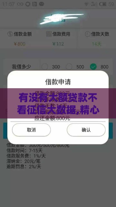 有没有大额贷款不看征信大数据,精心分析5款黑户借钱口子论坛6