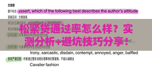 松紧贷通过率怎么样？实测分析+避坑技巧分享！