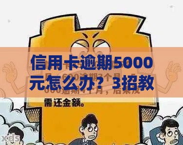 信用卡逾期5000元怎么办？3招教你化解危机不慌张