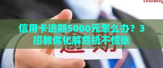 信用卡逾期5000元怎么办？3招教你化解危机不慌张