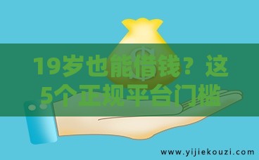 19岁也能借钱？这5个正规平台门槛低、下款快！