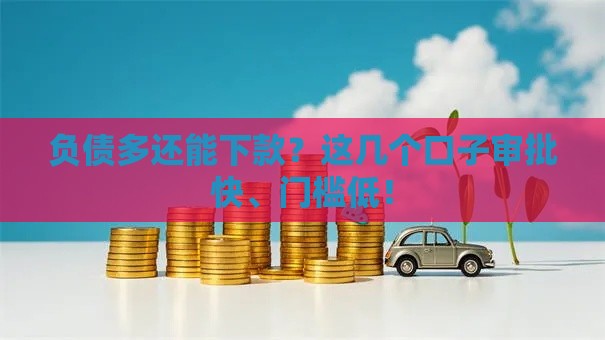 负债多还能下款？这几个口子审批快、门槛低！