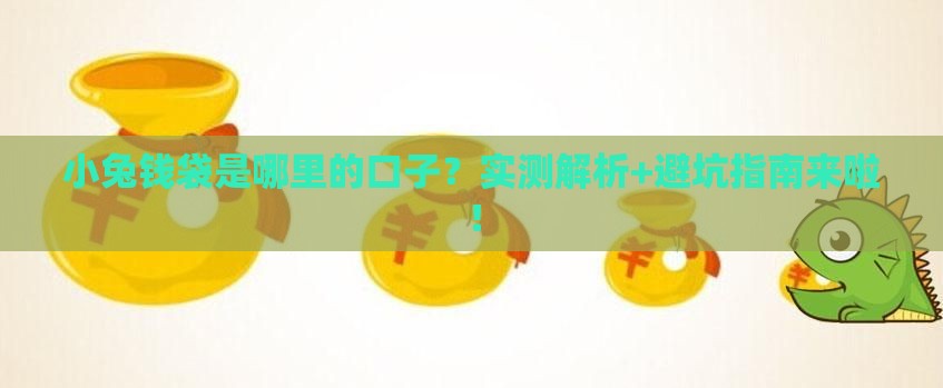 小兔钱袋是哪里的口子？实测解析+避坑指南来啦！