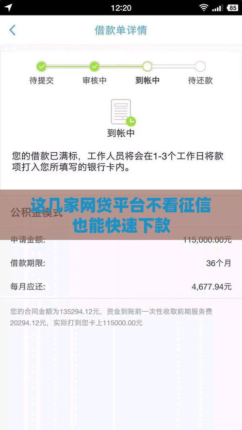 这几家网贷平台不看征信也能快速下款