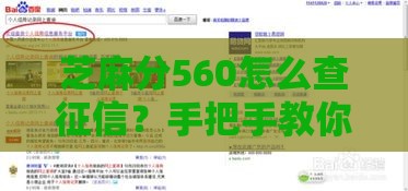芝麻分560怎么查征信？手把手教你查个人信用记录