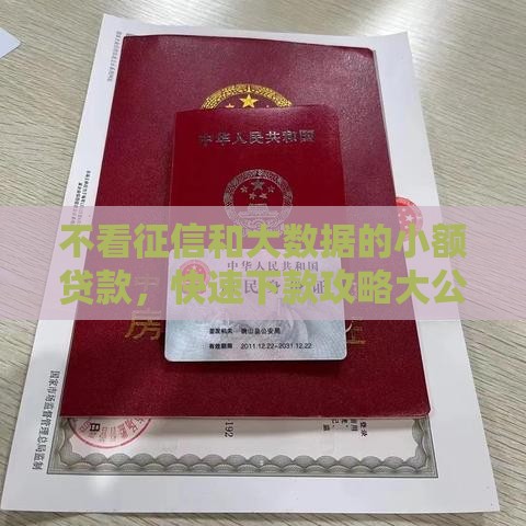 不看征信和大数据的小额贷款，快速下款攻略大公开