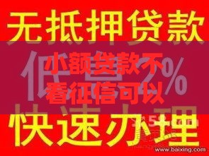 小额贷款不看征信可以吗？急用钱必看这3个靠谱方法！