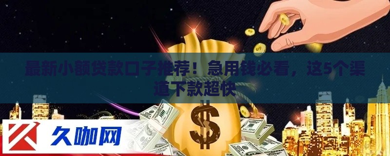 最新小额贷款口子推荐！急用钱必看，这5个渠道下款超快