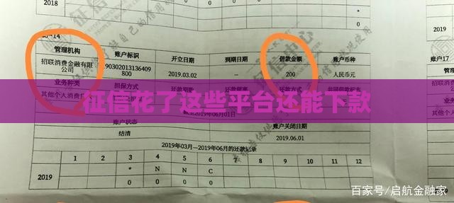 征信花了这些平台还能下款