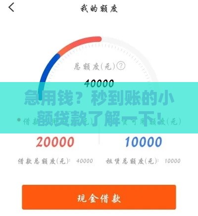 急用钱?秒到账的小额贷款了解一下! 急用钱?秒到账的小额贷款了解一下!