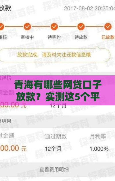 青海有哪些网贷口子放款？实测这5个平台下款快、门槛低！