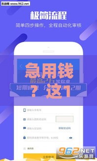 急用钱？这18个贷款口子低门槛秒下款，手慢无！