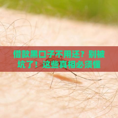 借款黑口子不用还？别被坑了！这些真相必须懂