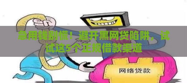 急用钱别慌！避开黑网贷陷阱，试试这5个正规借款渠道
