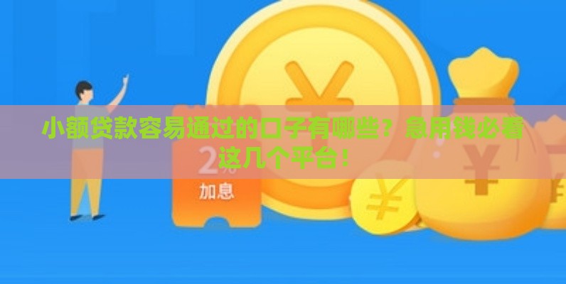 小额贷款容易通过的口子有哪些？急用钱必看这几个平台！