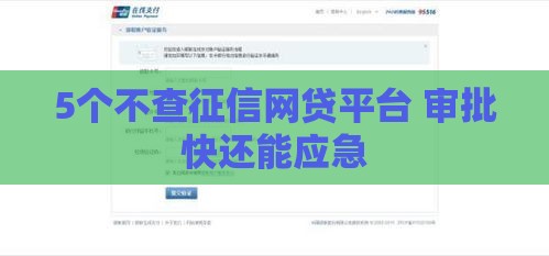 5个不查征信网贷平台 审批快还能应急