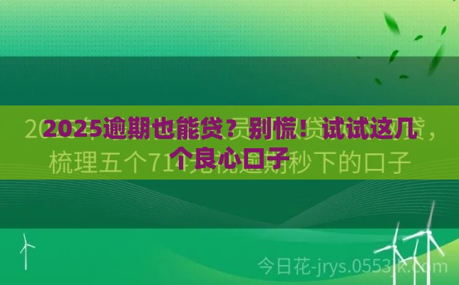 2025逾期也能贷？别慌！试试这几个良心口子