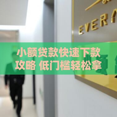 小额贷款快速下款攻略 低门槛轻松拿资金