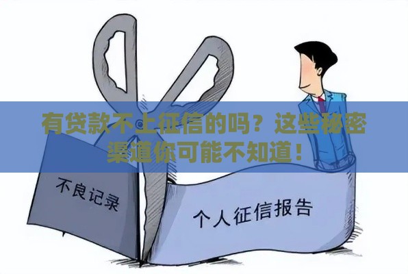 有贷款不上征信的吗?这些秘密渠道你可能不知道! 有贷款不上征信的吗?这些秘密渠道你可能不知道!