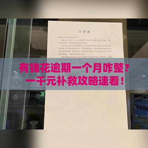 有钱花逾期一个月咋整？一千元补救攻略速看！