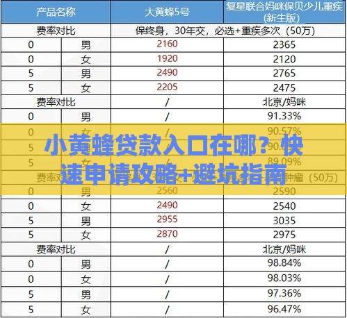 小黄蜂贷款入口在哪？快速申请攻略+避坑指南