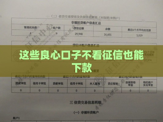 这些良心口子不看征信也能下款