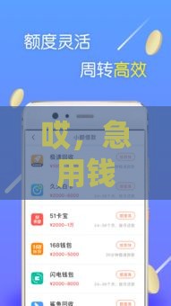 哎，急用钱咋办？这几个平台不看信用也能贷到款！