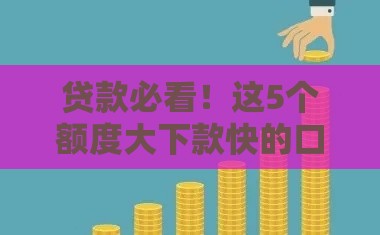 贷款必看！这5个额度大下款快的口子，轻松解决资金难题