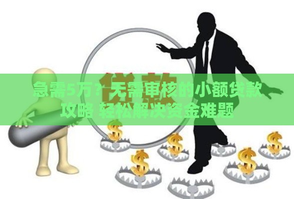 急需5万？无需审核的小额贷款攻略 轻松解决资金难题