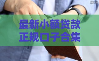 最新小额贷款正规口子合集+避坑指南