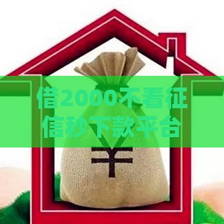 借2000不看征信秒下款平台是真的吗？小心这些套路！