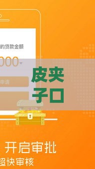 皮夹子口子系列有哪些？3分钟搞懂贷款正规渠道