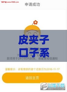 皮夹子口子系列有哪些？3分钟搞懂贷款正规渠道