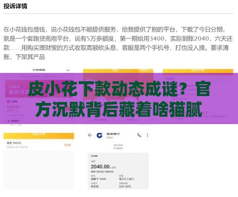 皮小花下款动态成谜？官方沉默背后藏着啥猫腻