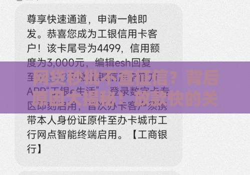 网贷秒批不查征信？背后原因大揭秘！放款快的关键在这里