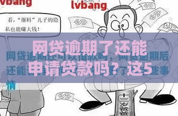 网贷逾期了还能申请贷款吗？这5个方法助你快速下款！
