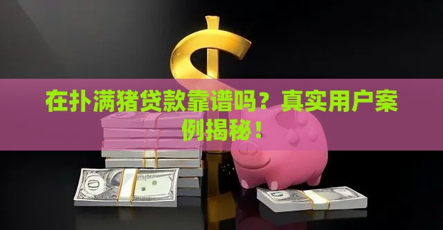 在扑满猪贷款靠谱吗？真实用户案例揭秘！