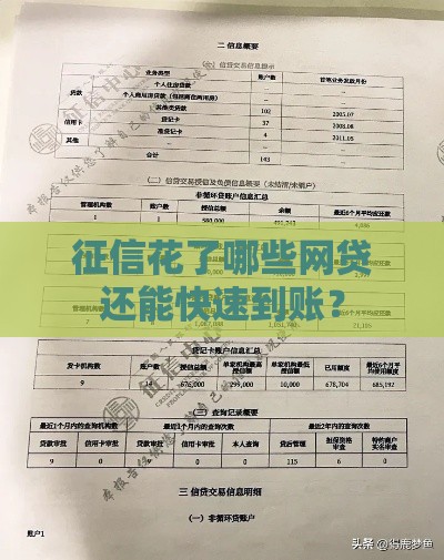 征信花了哪些网贷还能快速到账？