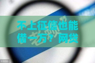 不上征信也能借一万？网贷新选择这些要点要记牢