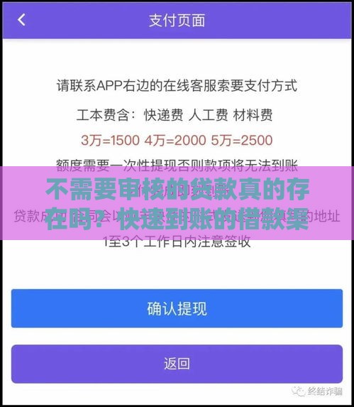 不需要审核的贷款真的存在吗？快速到账的借款渠道大揭秘！