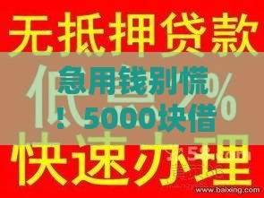 急用钱别慌！5000块借款秒下口子的靠谱攻略