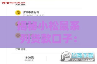 揭秘小松鼠系列贷款口子：真实背景与使用技巧全解析