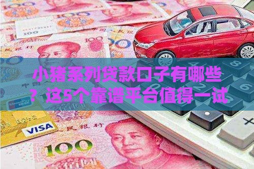 小猪系列贷款口子有哪些？这5个靠谱平台值得一试